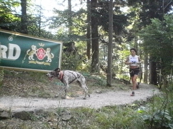 Canicross na Svatobor 12. 7. 2015 - AKTUÁLNĚ